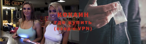 спиды Богородск