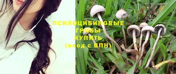 кокс Богородицк
